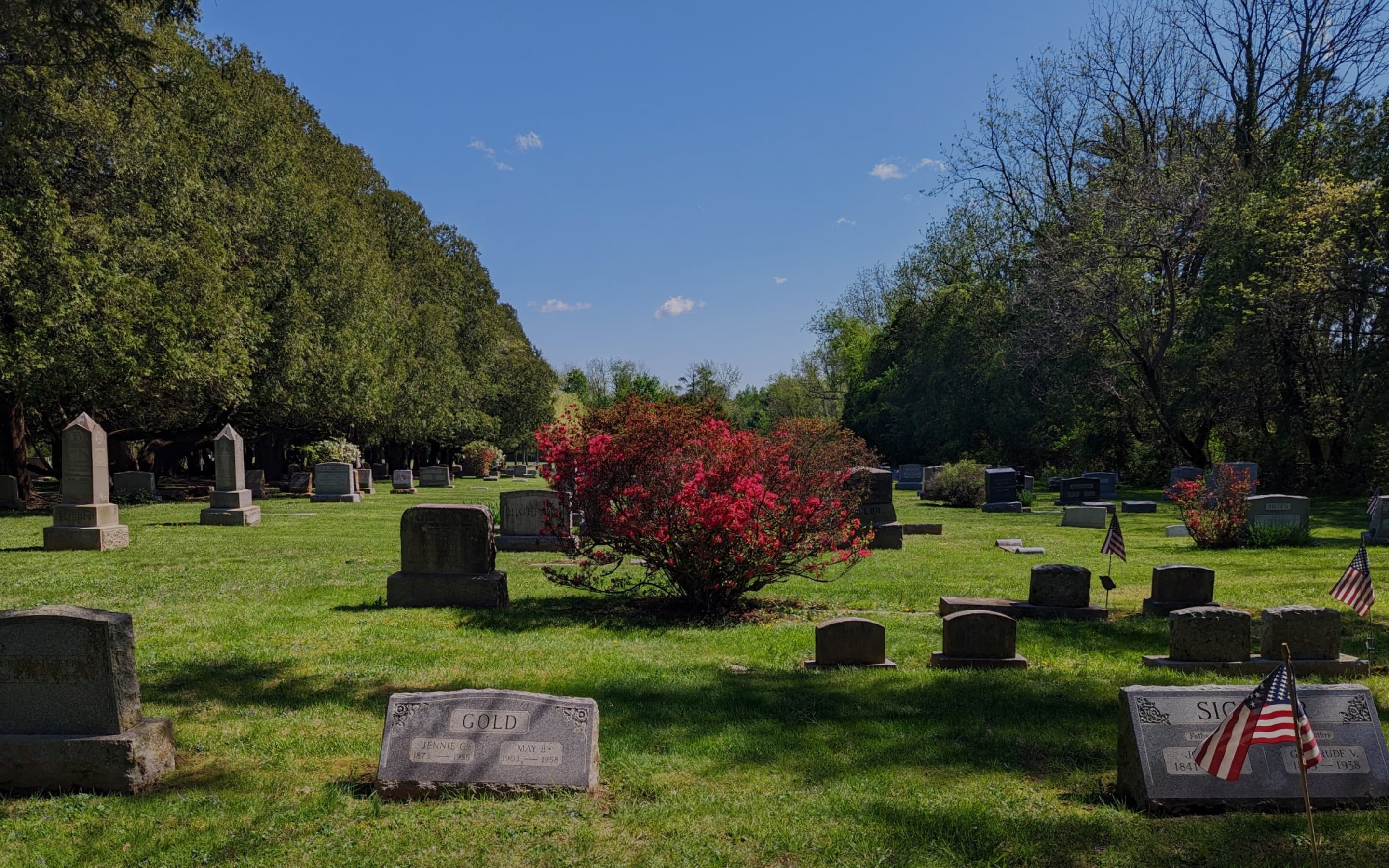 Photo with a view of Birmingham Lafayette Cemetery