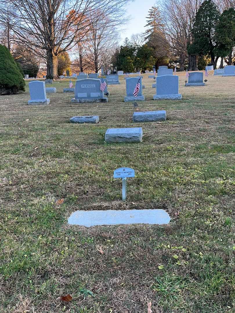 David C. MacIntyre's grave. Photo 2