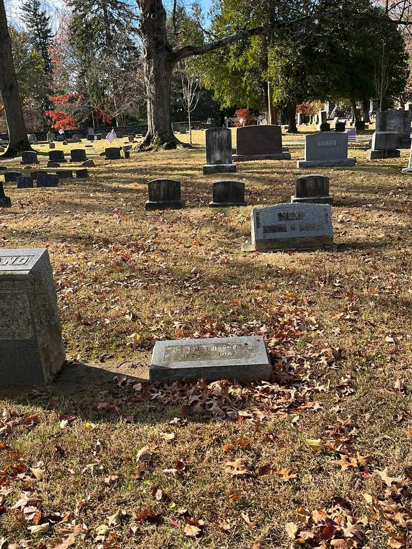 Carrie T. Bannen's grave. Photo 2