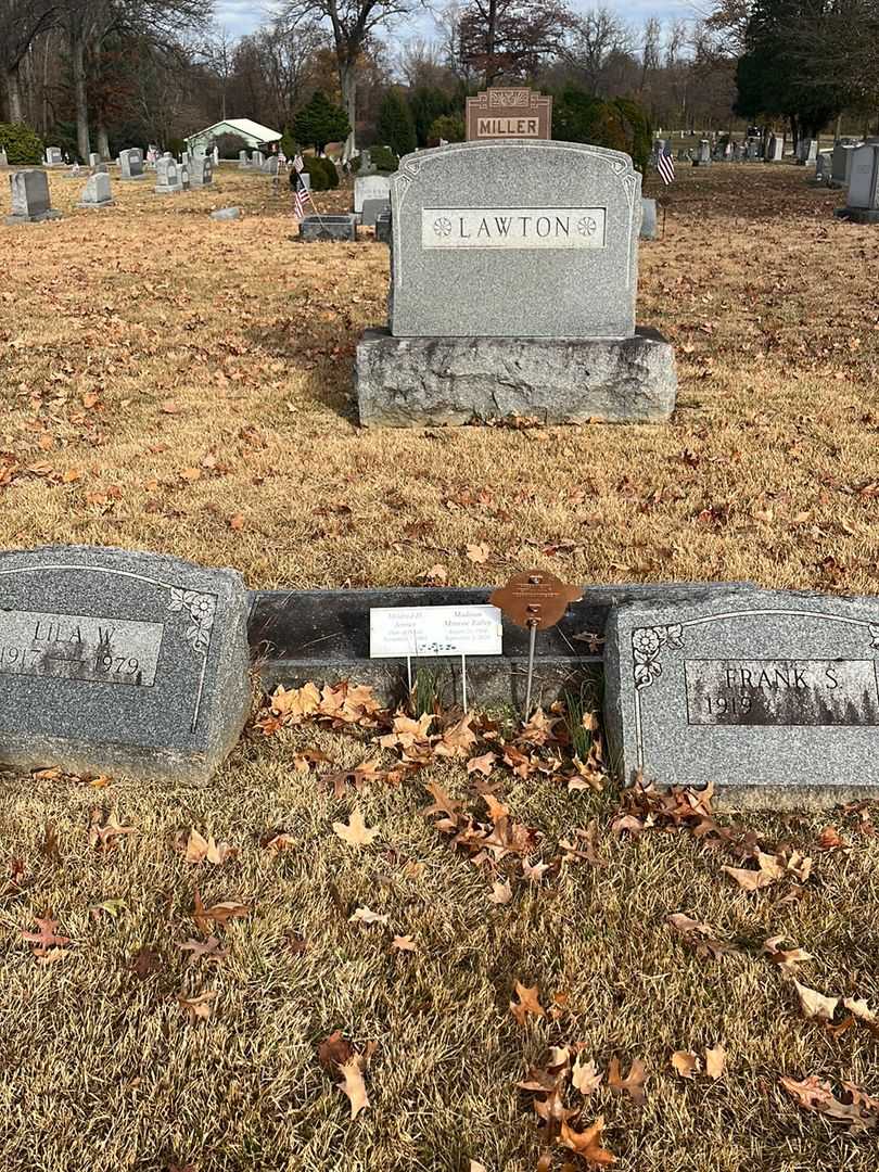 Madison Monroe Talley's grave. Photo 2