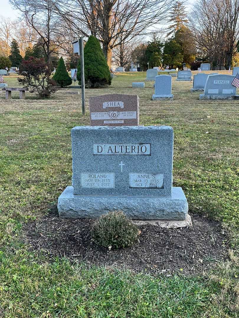 Anne S. D'Alterio's grave. Photo 2