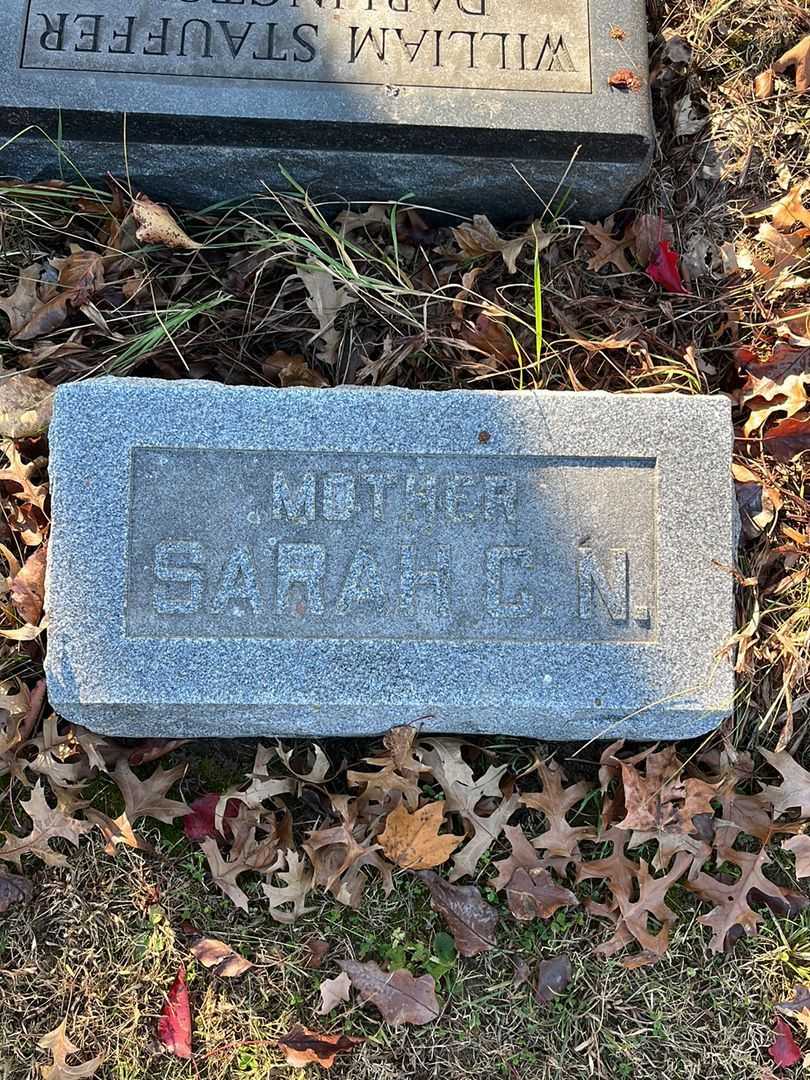 Sarah C. Nelson Cherry's grave. Photo 4