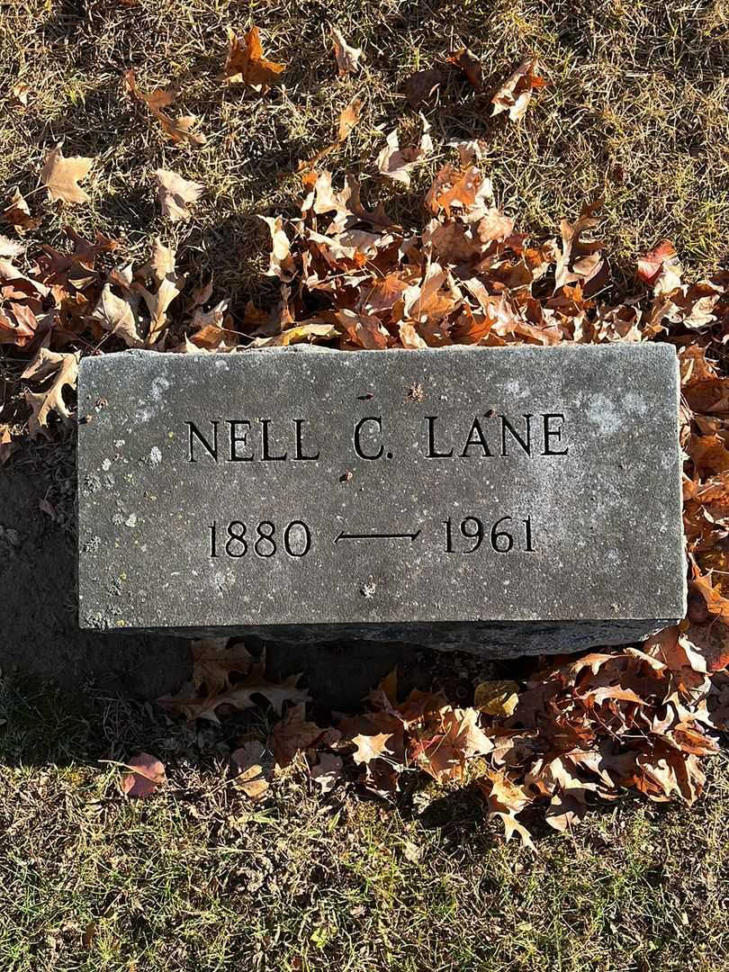 Nell C. Lane's grave. Photo 3