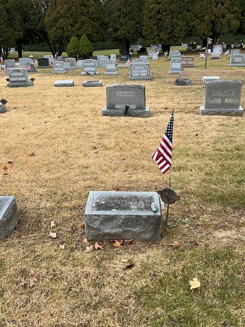 Joan S. Nekervis's grave. Photo 2