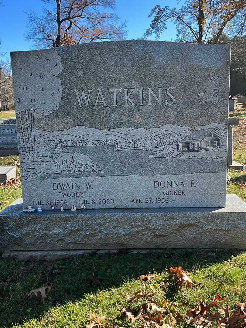 Dwain W. "Woody" Watkins's grave. Photo 3