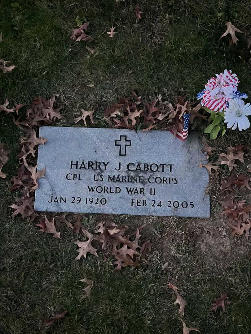 Harry J. Cabott's grave. Photo 4