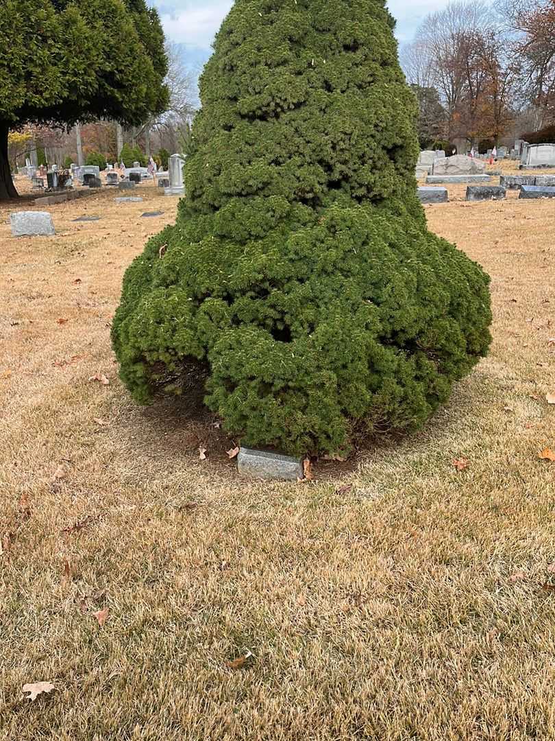 Harold A. Famous's grave. Photo 2