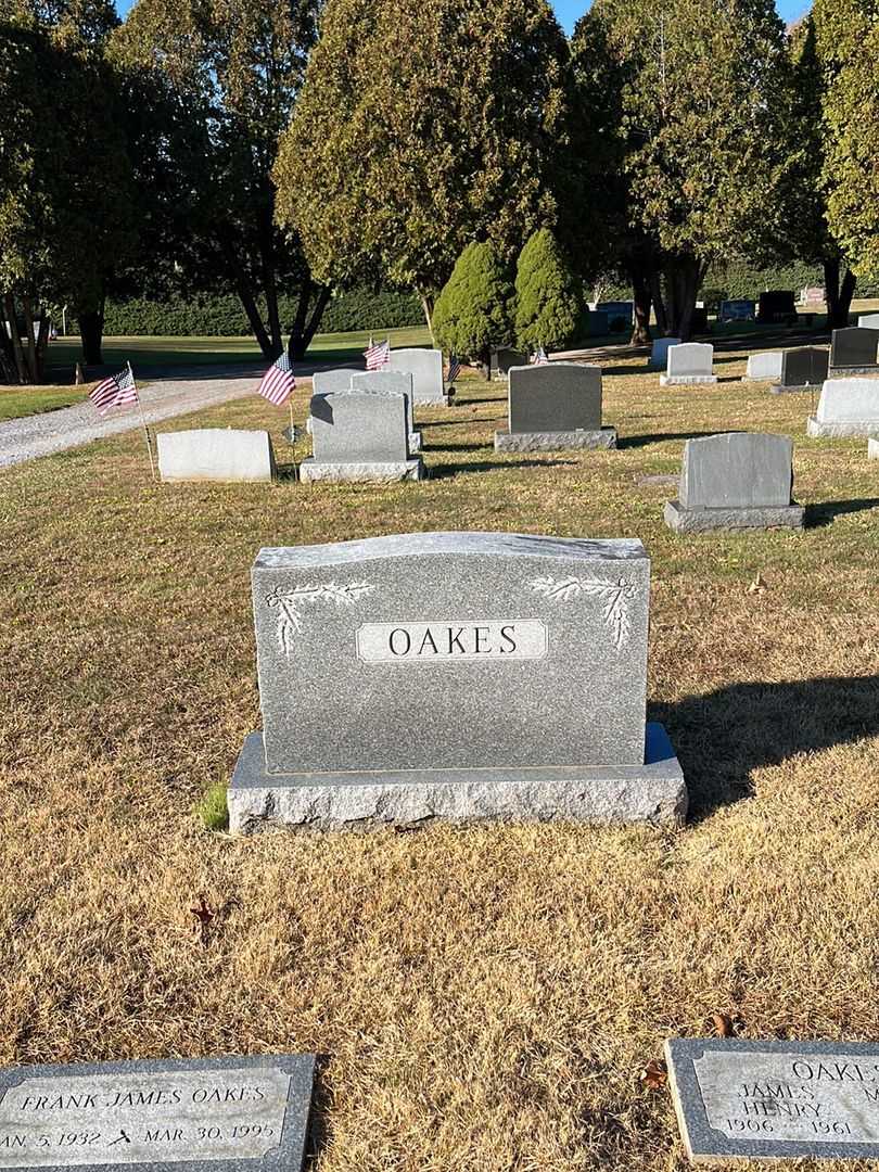 Stephen Sumner Oakes's grave. Photo 1