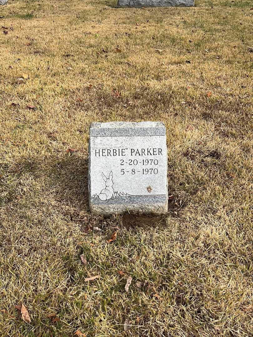 Herbert George "Herbie" Parker's grave. Photo 2