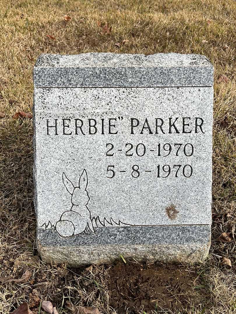 Herbert George "Herbie" Parker's grave. Photo 3