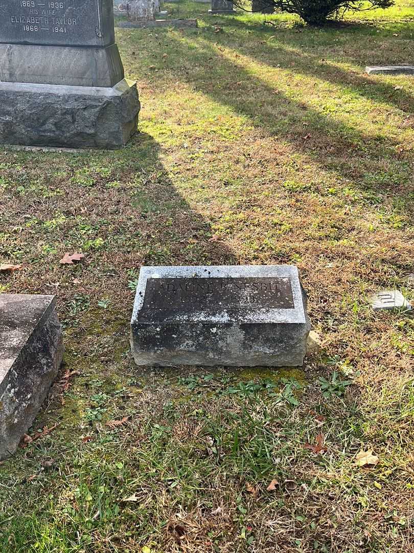 Adaline B. Nesbit's grave. Photo 2