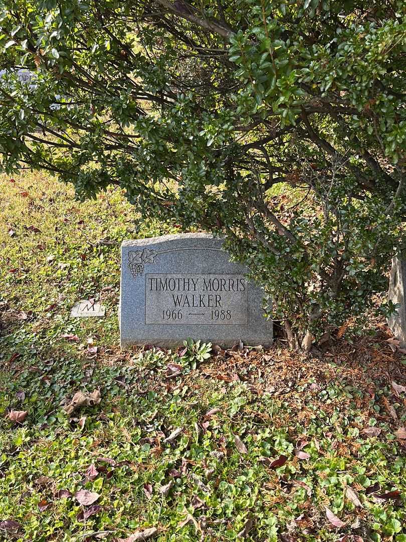 Timothy Morris Walker's grave. Photo 2