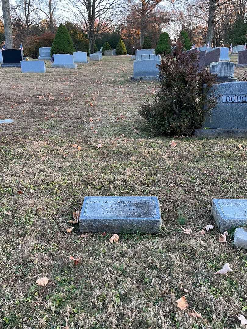 Anne Greenwood Douglas's grave. Photo 2