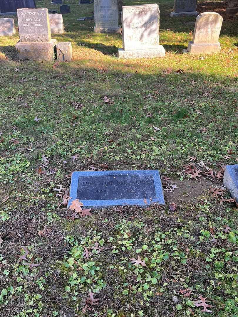 Lidie Fling Darlington's grave. Photo 2