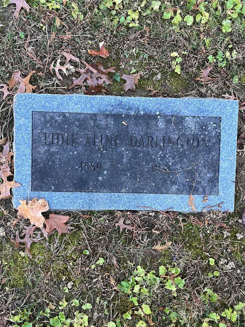 Lidie Fling Darlington's grave. Photo 3