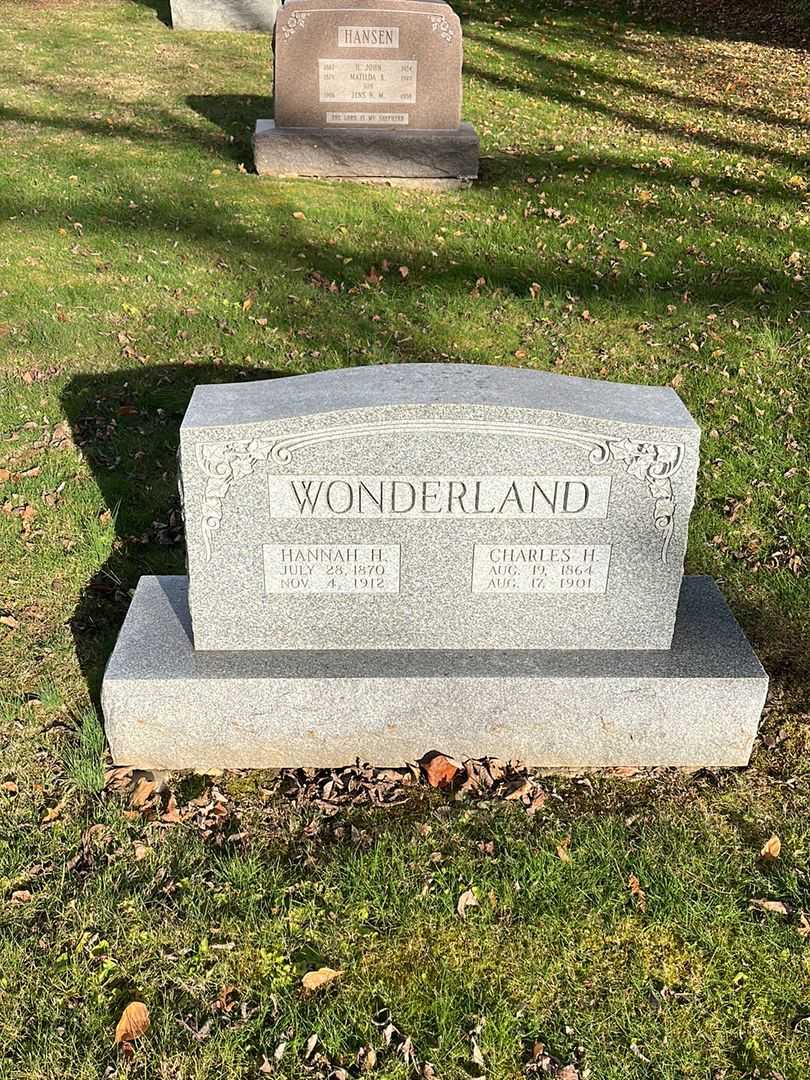 Hannah H. Wonderland's grave. Photo 2