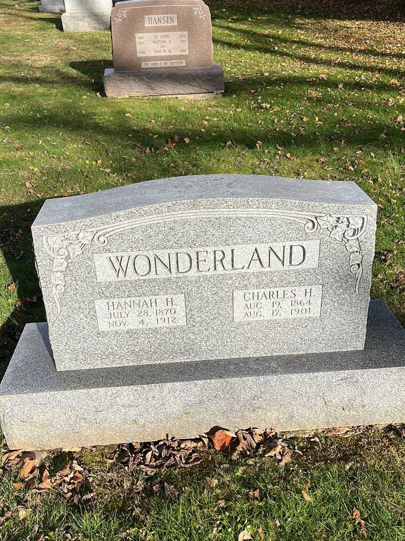 Hannah H. Wonderland's grave. Photo 3