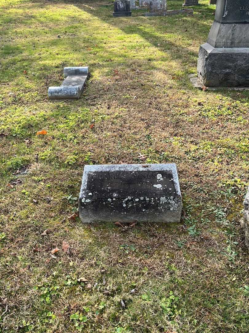 Charles A. Nesbit's grave. Photo 2