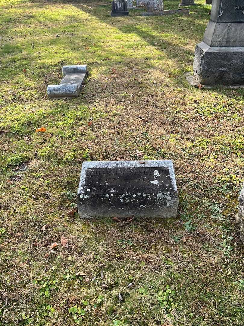 Charles A. Nesbit's grave. Photo 2