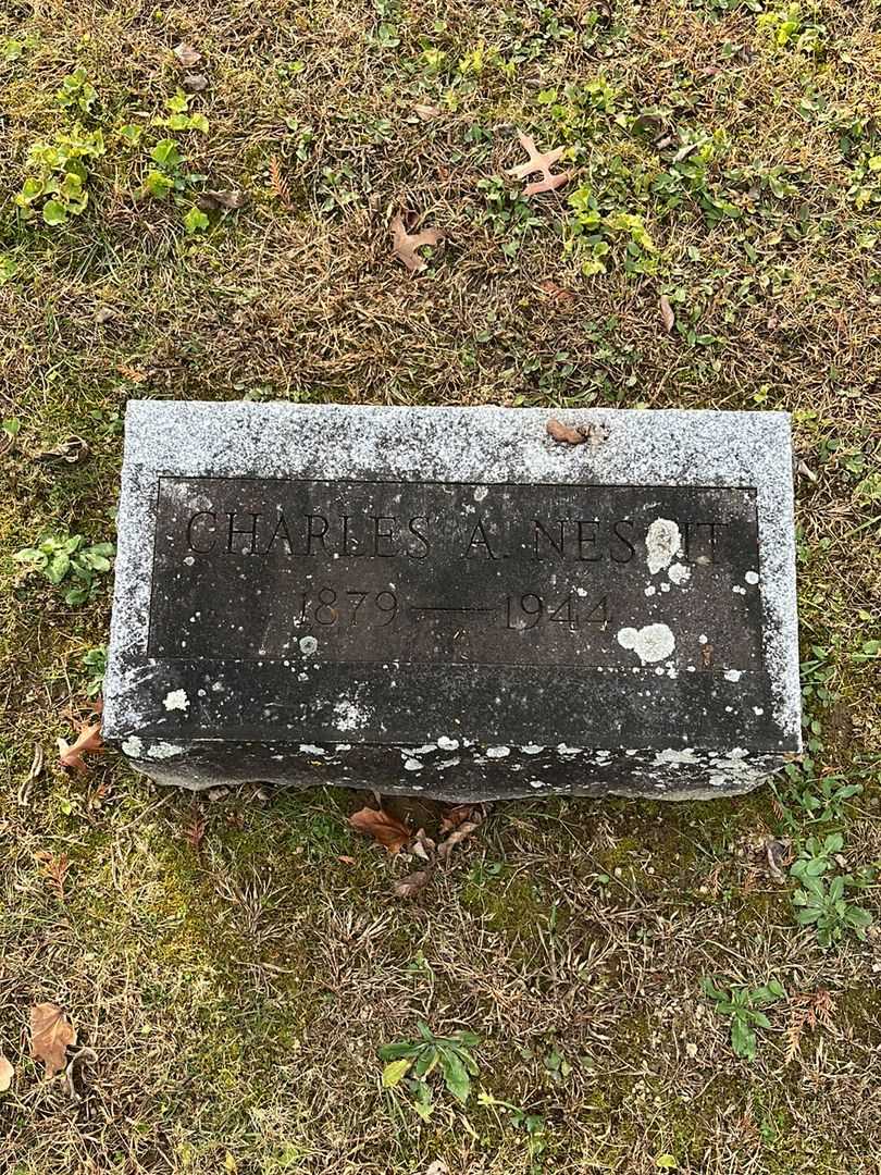 Charles A. Nesbit's grave. Photo 3