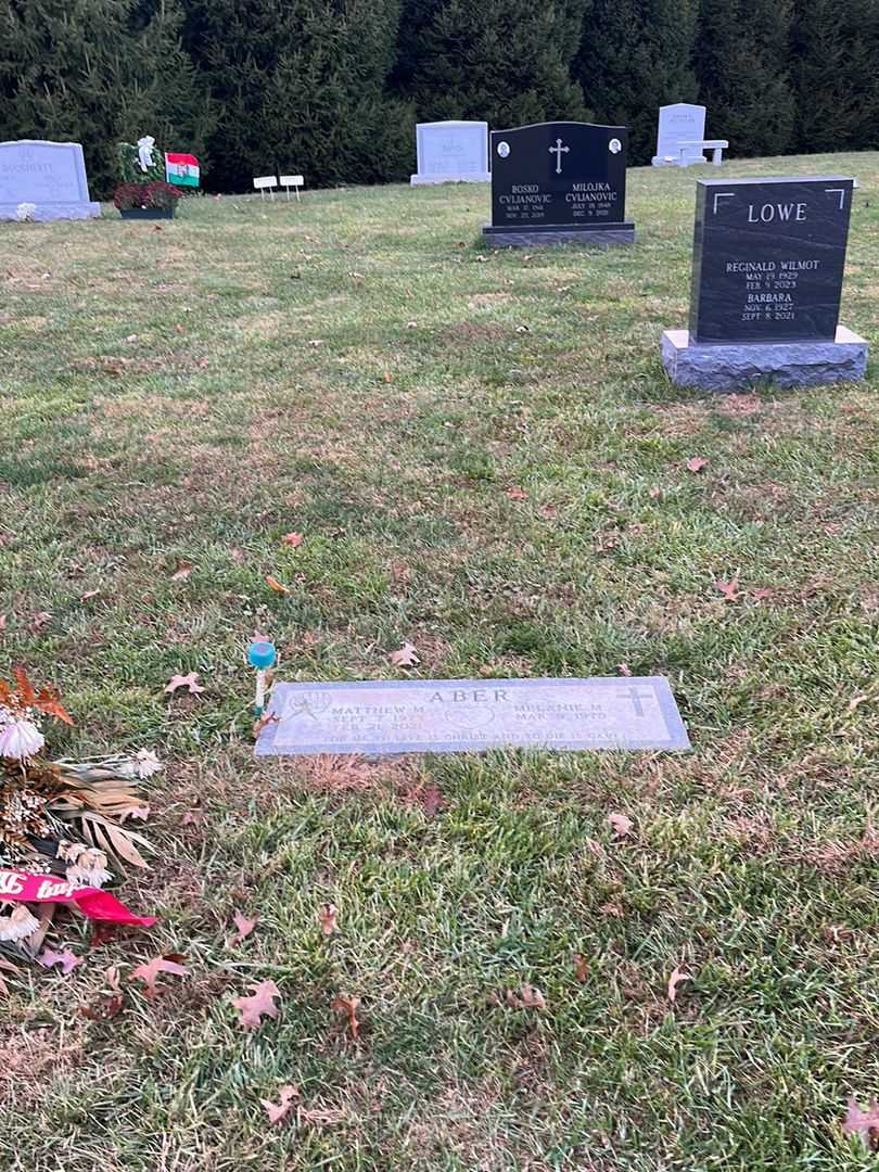 Matthew M. Aber's grave. Photo 2