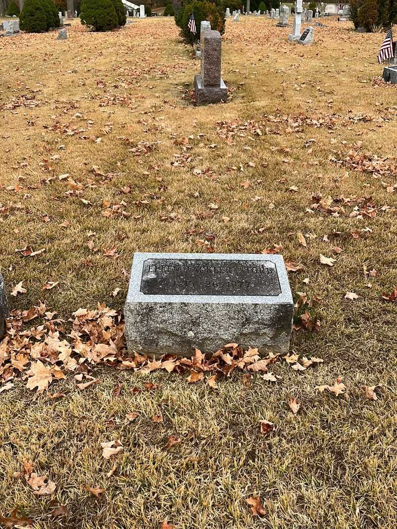 Ellen Fackler Storb's grave. Photo 2