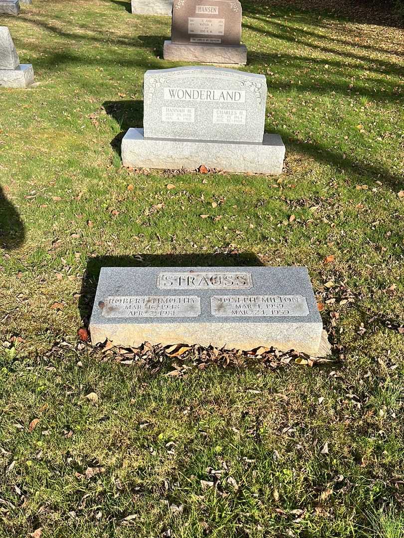 Joseph Milton Strauss's grave. Photo 2