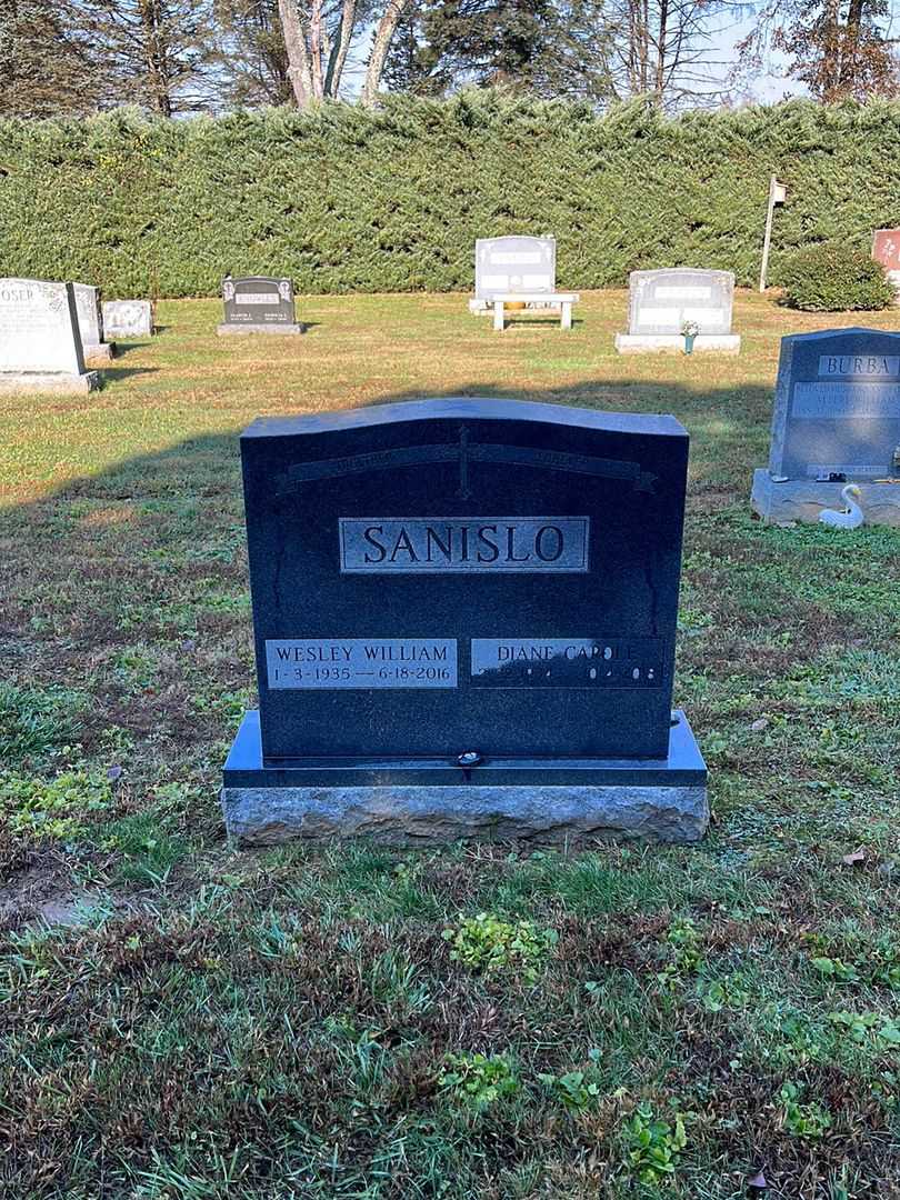 Wesley William Sanislo's grave. Photo 1