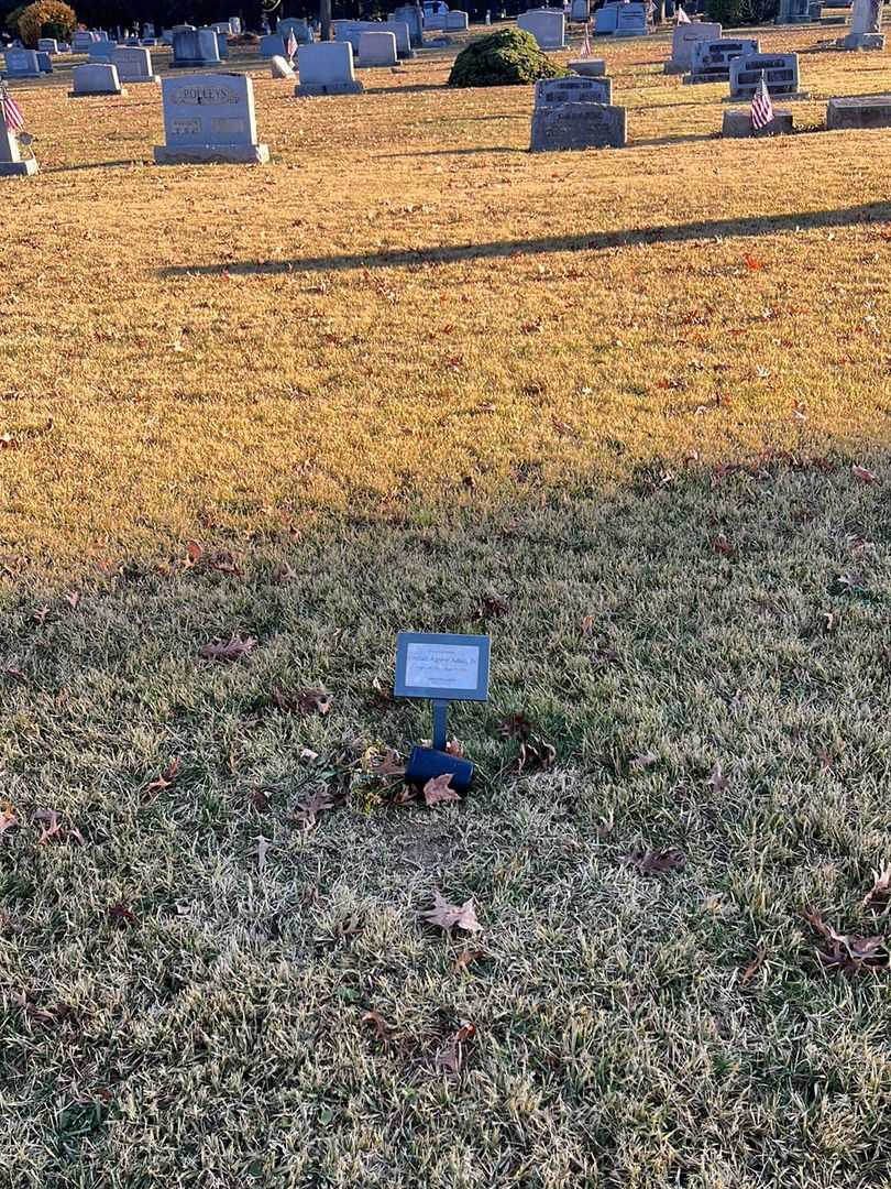 Sinclair Agnew Adam Junior's grave. Photo 2