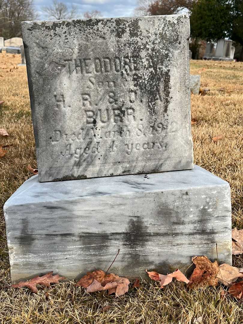 Theodore A. Burr's grave. Photo 3