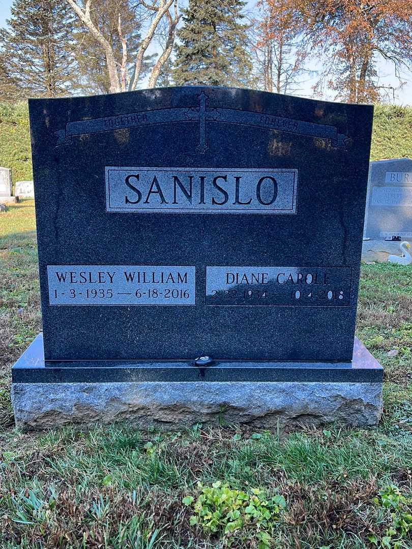 Wesley William Sanislo's grave. Photo 2