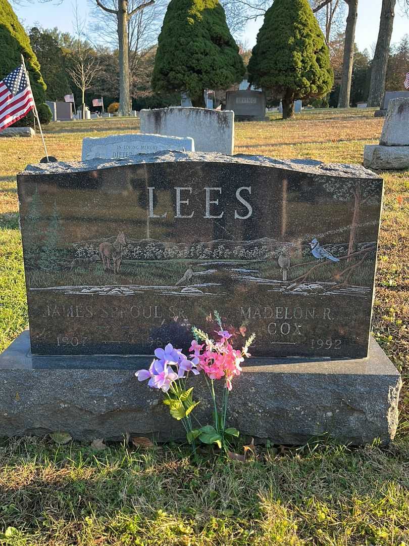 James Sproul Lees Senior's grave. Photo 3