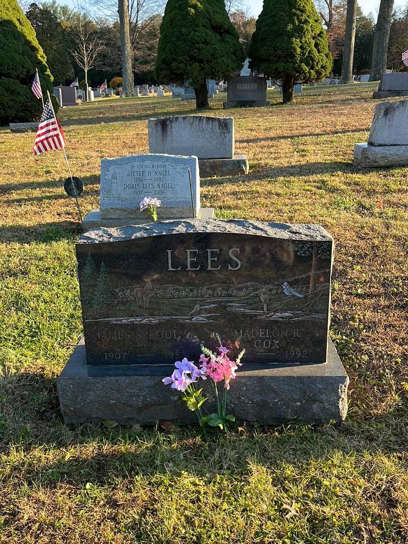 James Sproul Lees Senior's grave. Photo 2