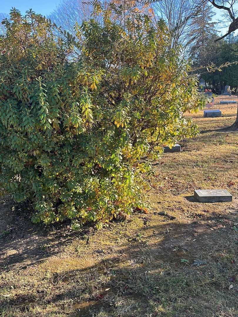 Lenore J. Hamilton's grave. Photo 3