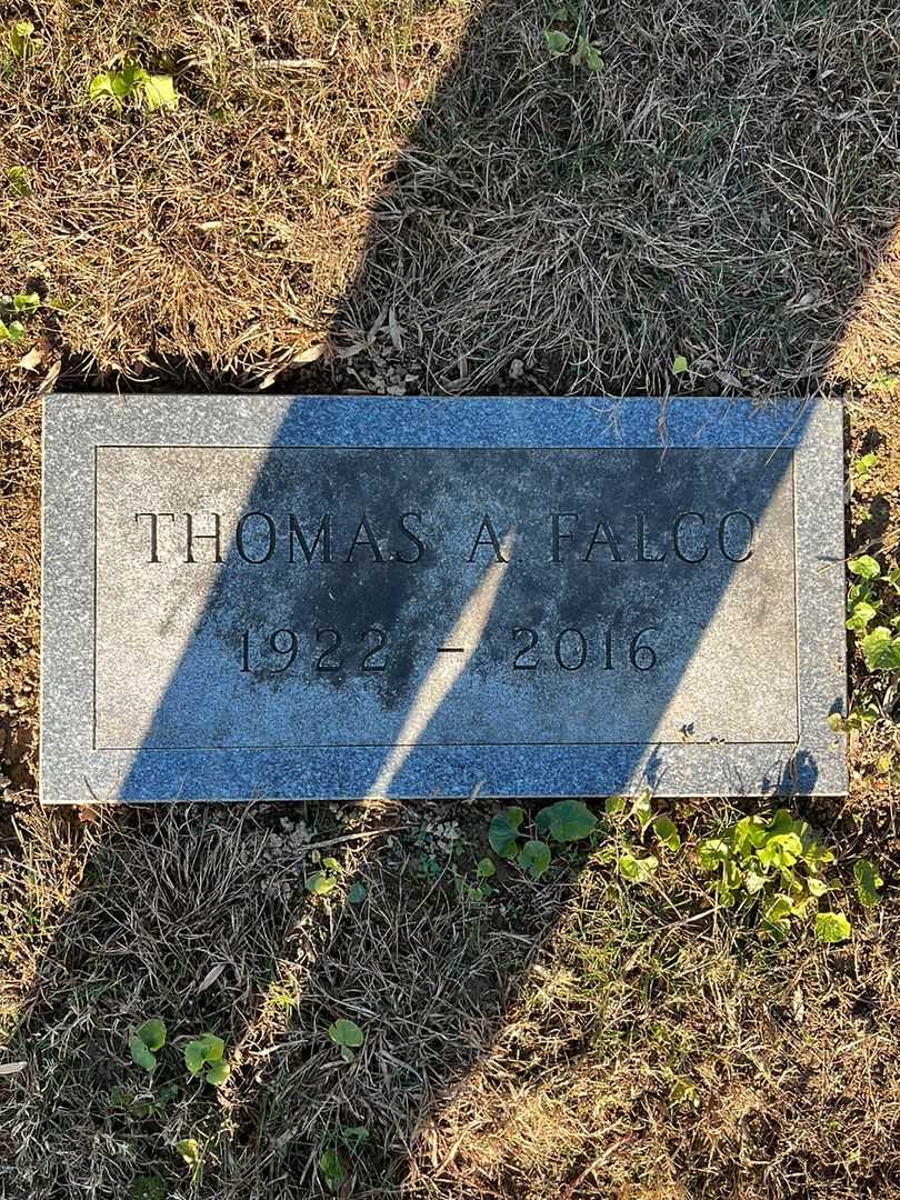 Thomas A. Falco's grave. Photo 1