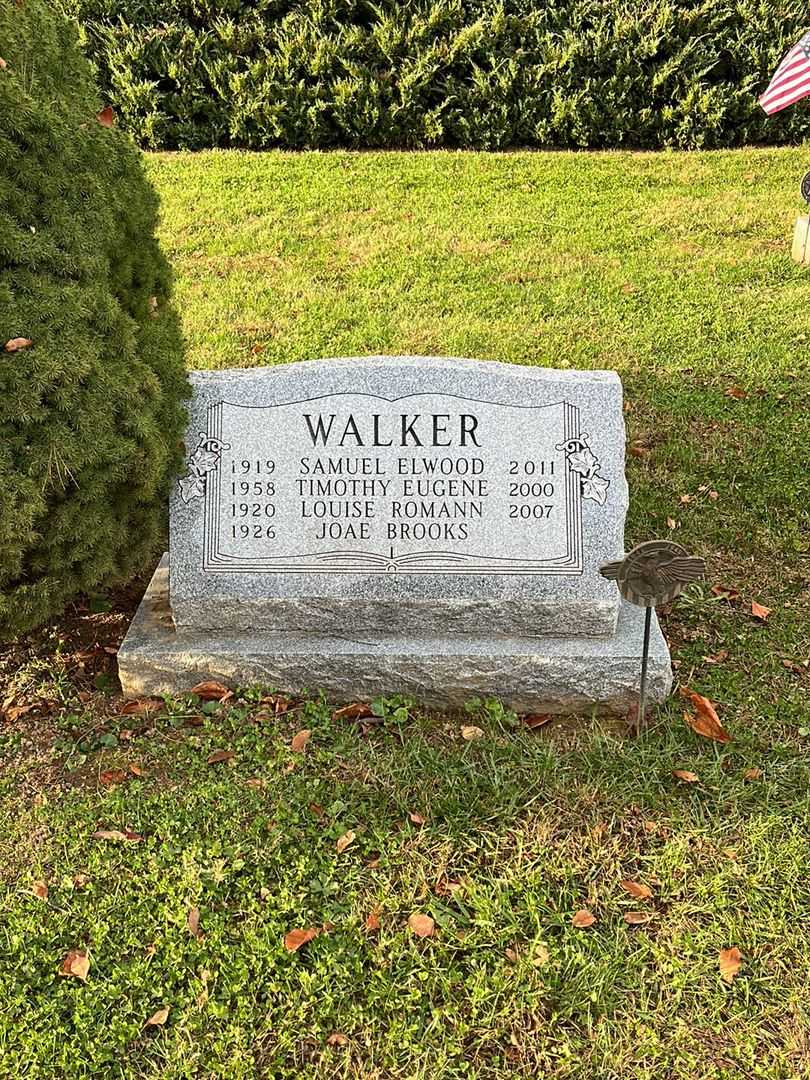 Samuel Elwood Walker's grave. Photo 2