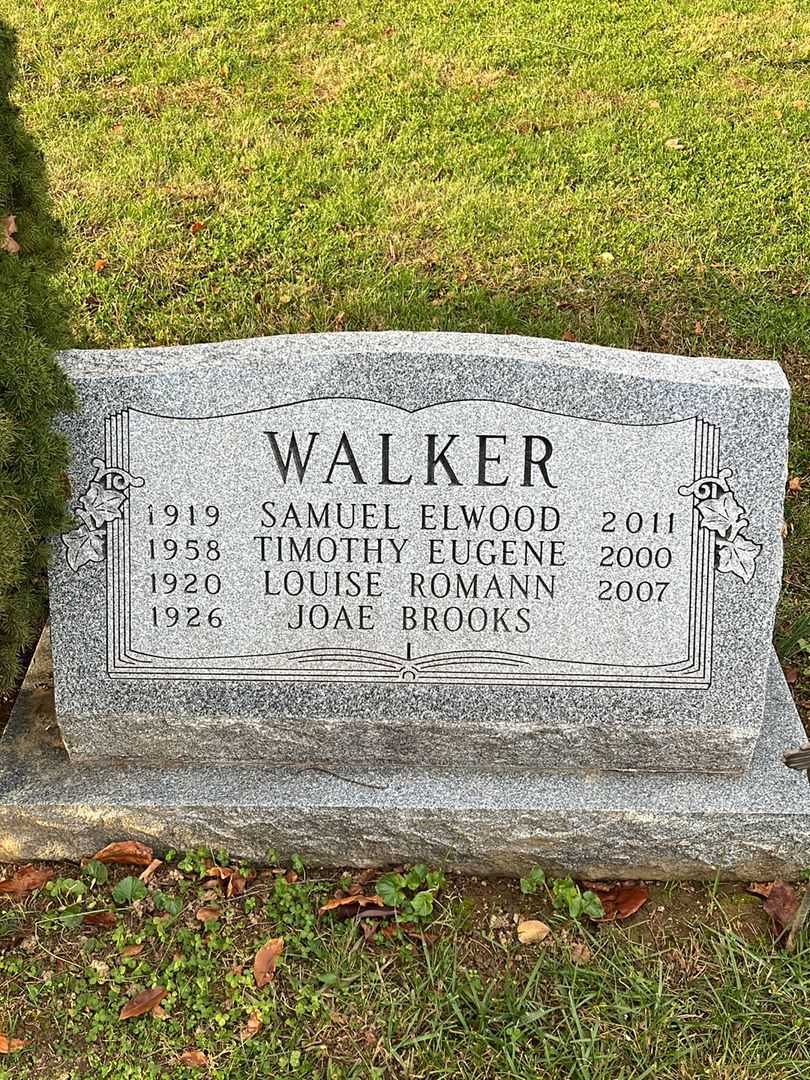 Samuel Elwood Walker's grave. Photo 1