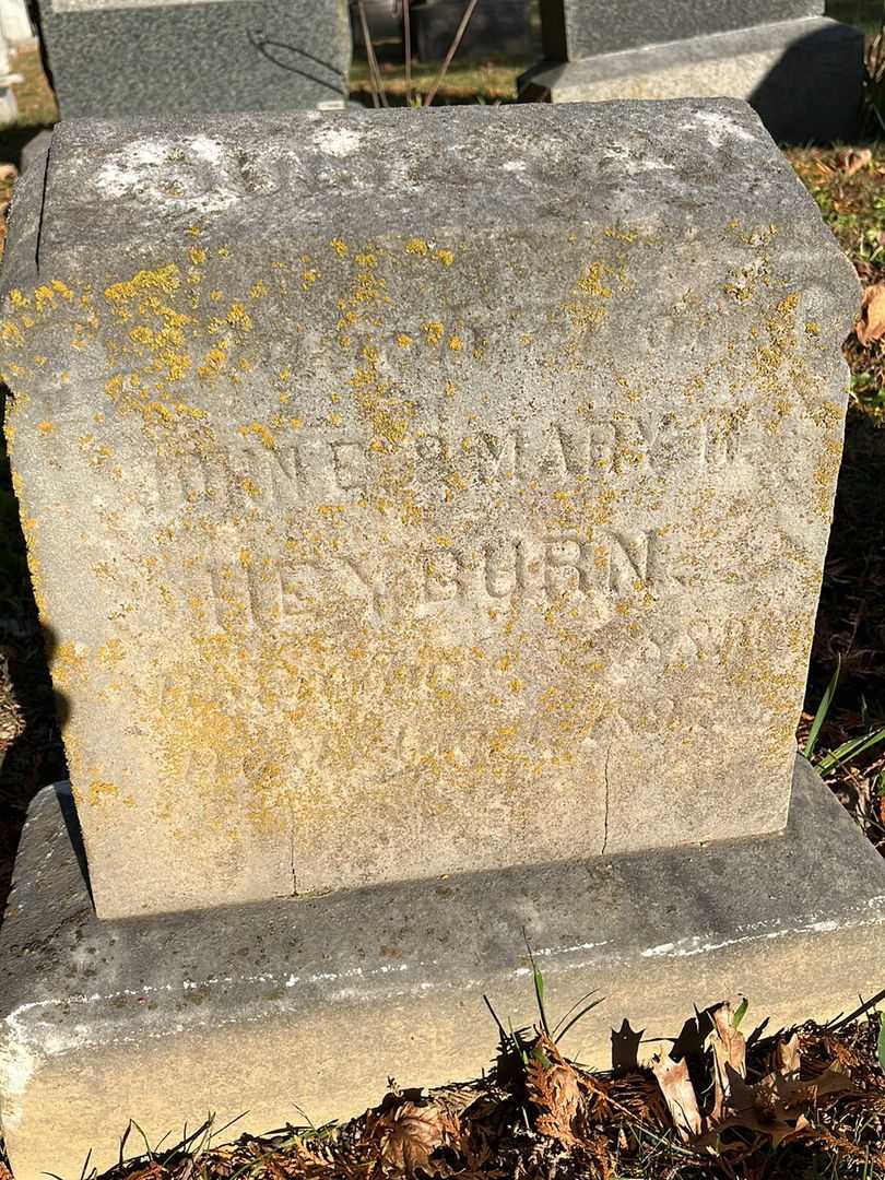 John F. Van Leer Heyburn's grave. Photo 1