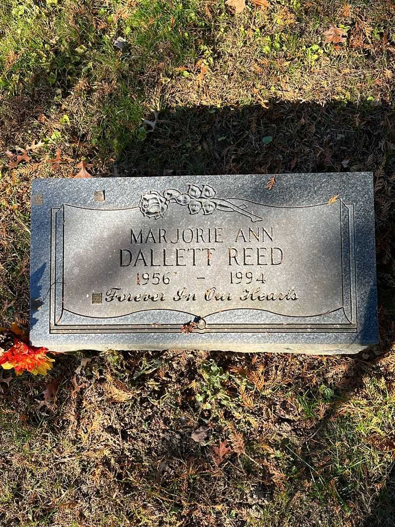 Alfred Dallett's grave. Photo 4