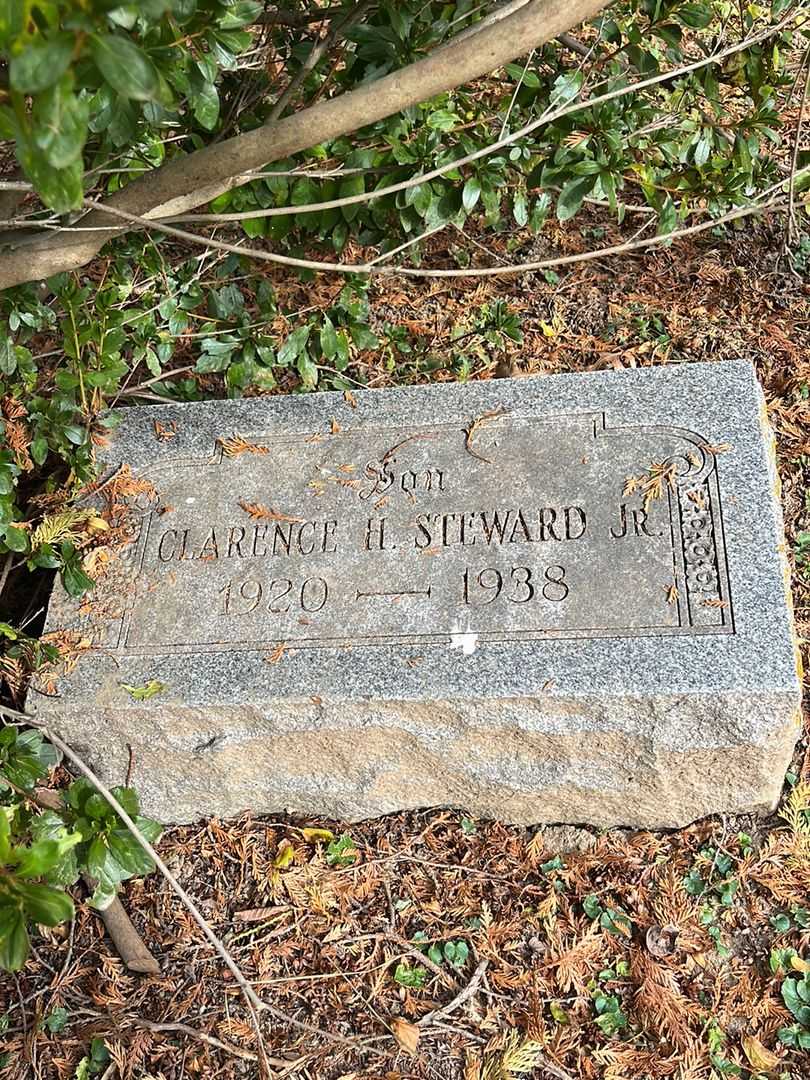 Clarence H. Steward Junior's grave. Photo 3