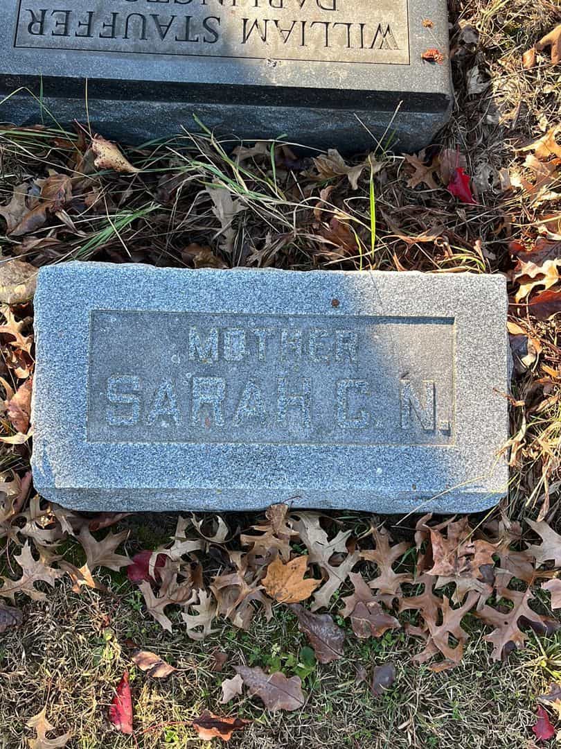 Sarah C. Nelson Cherry's grave. Photo 3