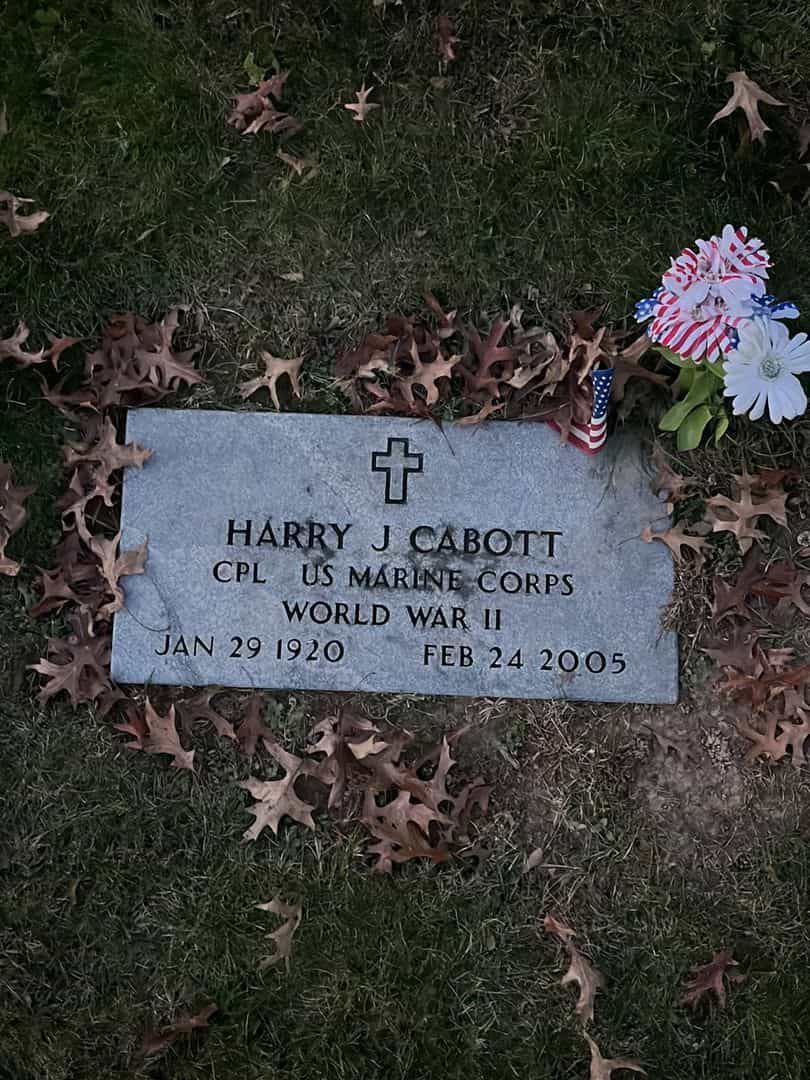 Harry J. Cabott's grave. Photo 3
