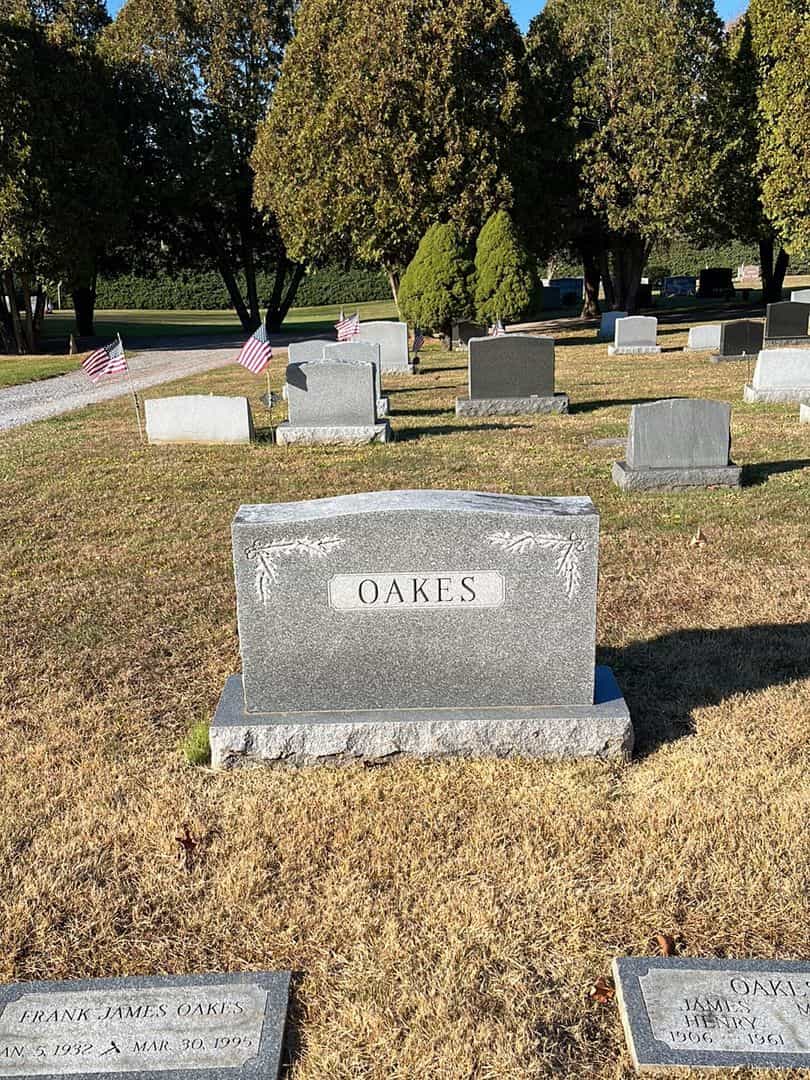 Stephen Sumner Oakes's grave. Photo 1