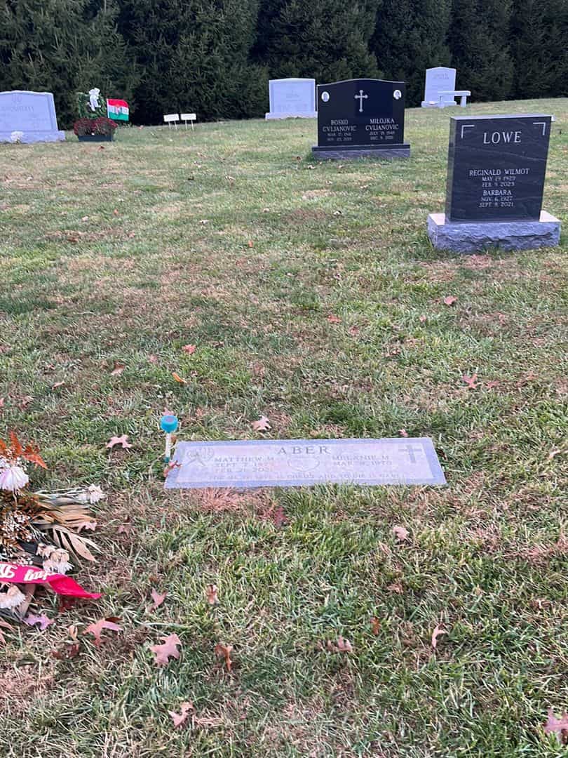 Matthew M. Aber's grave. Photo 2