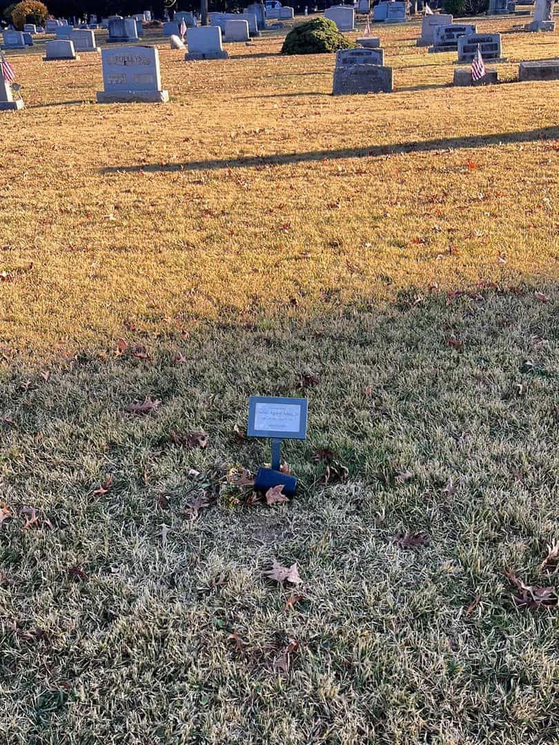 Sinclair Agnew Adam Junior's grave. Photo 2