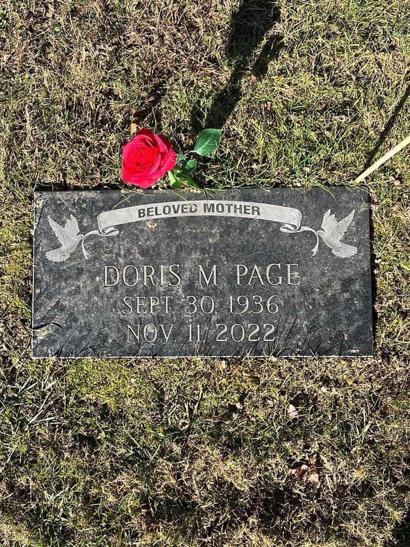 David W. Page's grave. Photo 4