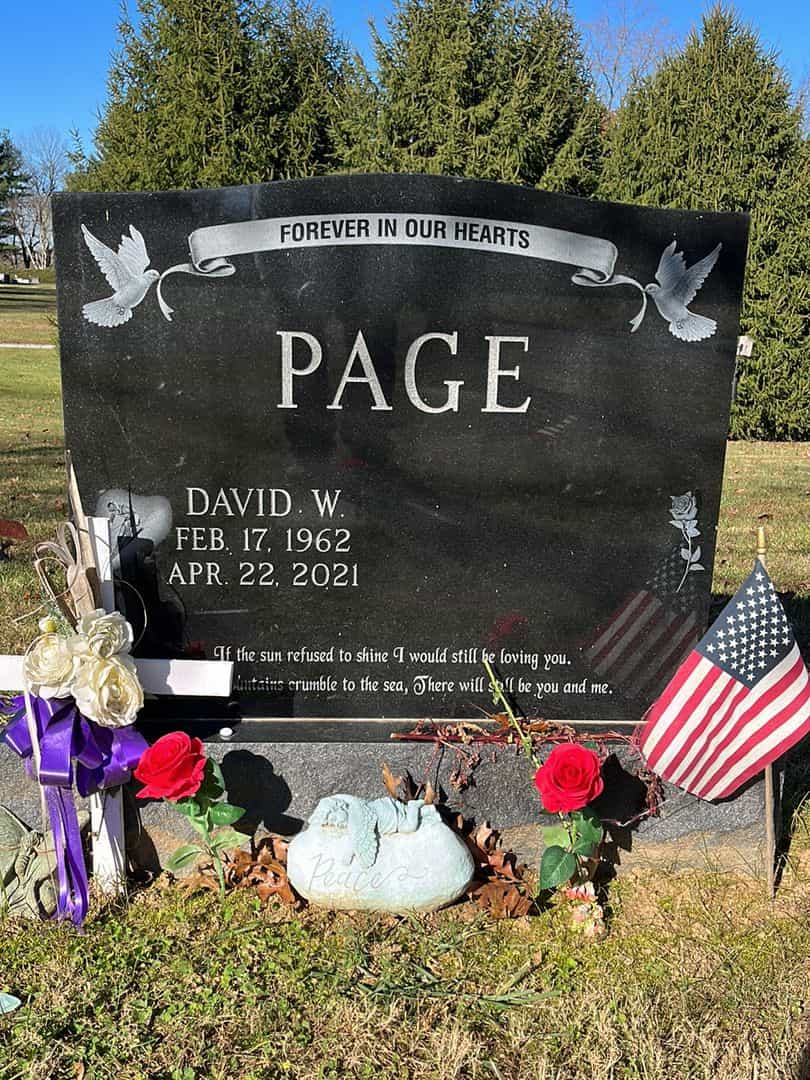 David W. Page's grave. Photo 1